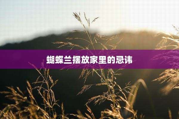 蝴蝶兰摆放家里的忌讳