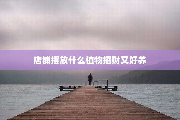 店铺摆放什么植物招财又好养