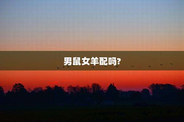 男鼠女羊配吗?