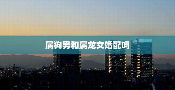 属狗男和属龙女婚配吗