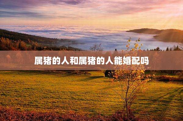 属猪的人和属猪的人能婚配吗
