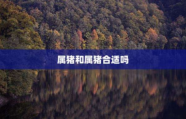 属猪和属猪合适吗