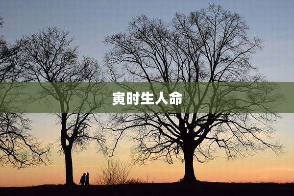 寅时生人命