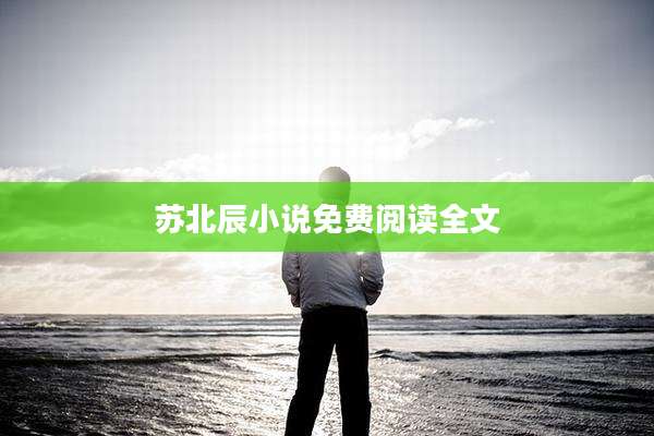 苏北辰小说免费阅读全文