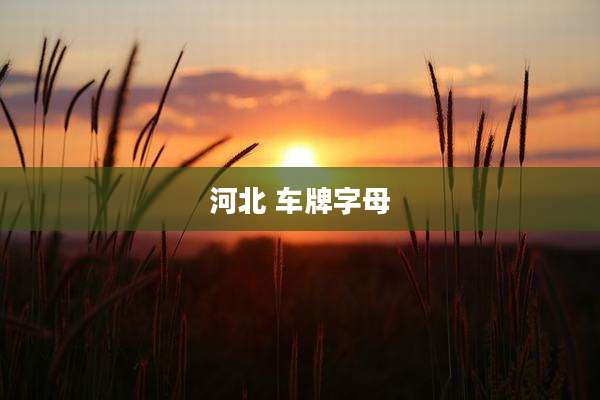 河北 车牌字母