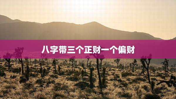 八字带三个正财一个偏财