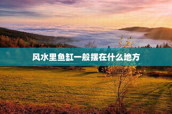 风水里鱼缸一般摆在什么地方