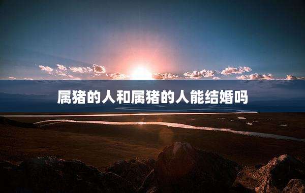 属猪的人和属猪的人能结婚吗
