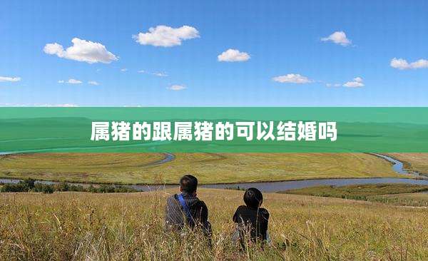 属猪的跟属猪的可以结婚吗
