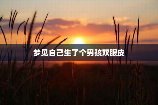 梦见自己生了个男孩双眼皮
