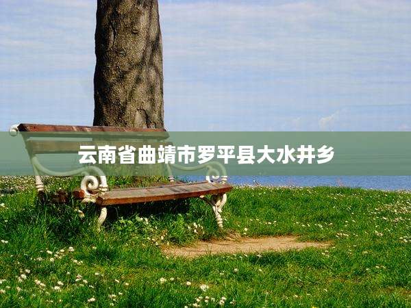 云南省曲靖市罗平县大水井乡