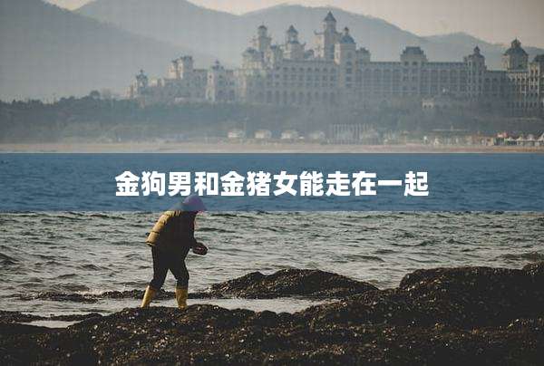 金狗男和金猪女能走在一起