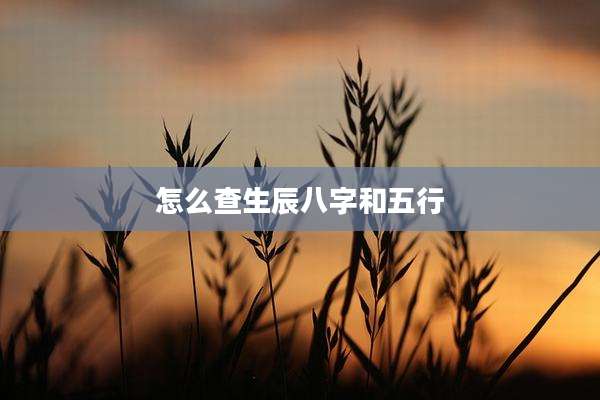 怎么查生辰八字和五行