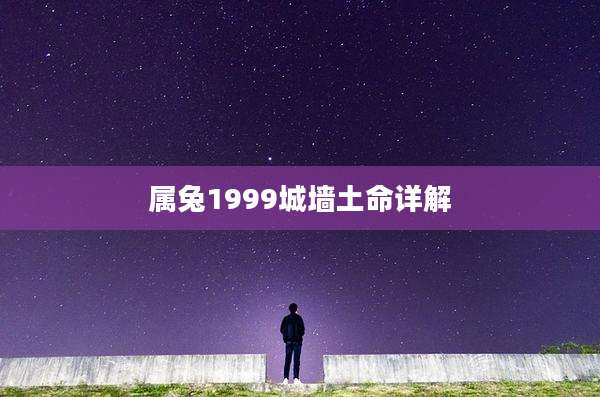 属兔1999城墙土命详解