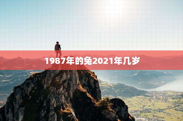 1987年的兔2021年几岁