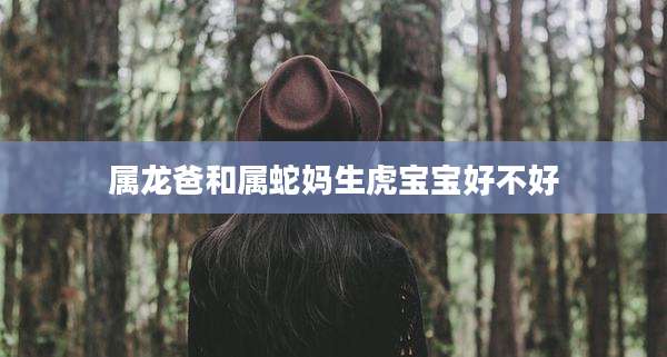 属龙爸和属蛇妈生虎宝宝好不好