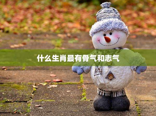 什么生肖最有骨气和志气