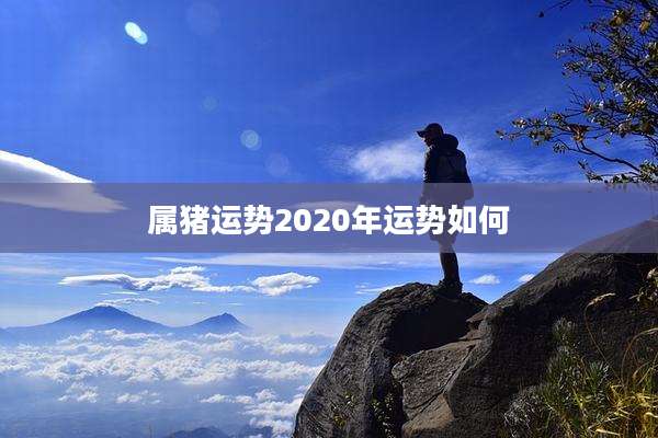 属猪运势2020年运势如何