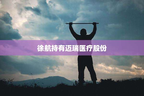 徐航持有迈瑞医疗股份