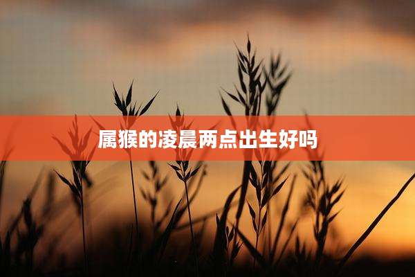 属猴的凌晨两点出生好吗