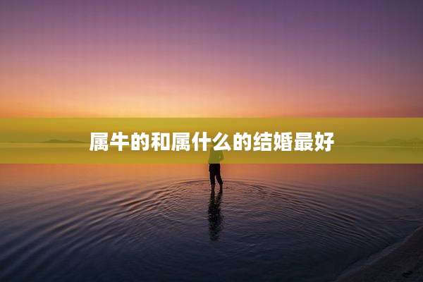 属牛的和属什么的结婚最好
