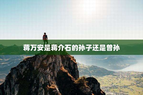 蒋万安是***的孙子还是曾孙
