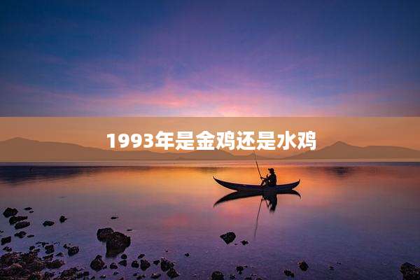 1993年是金鸡还是水鸡