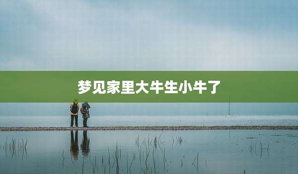 梦见家里大牛生小牛了