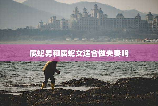 属蛇男和属蛇女适合做夫妻吗