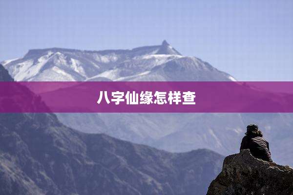 八字仙缘怎样查