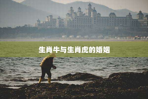 生肖牛与生肖虎的婚姻
