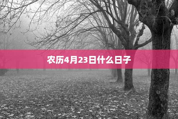 农历4月23日什么日子