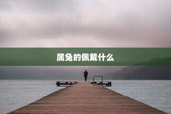 属兔的佩戴什么