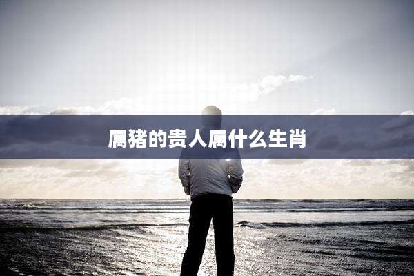 属猪的贵人属什么生肖