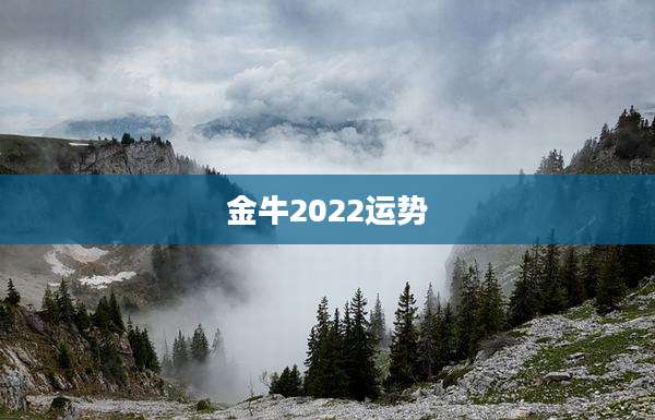 金牛2022运势