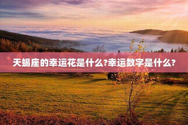 天蝎座的幸运花是什么?幸运数字是什么?