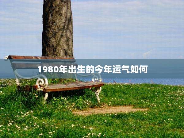 1980年出生的今年运气如何