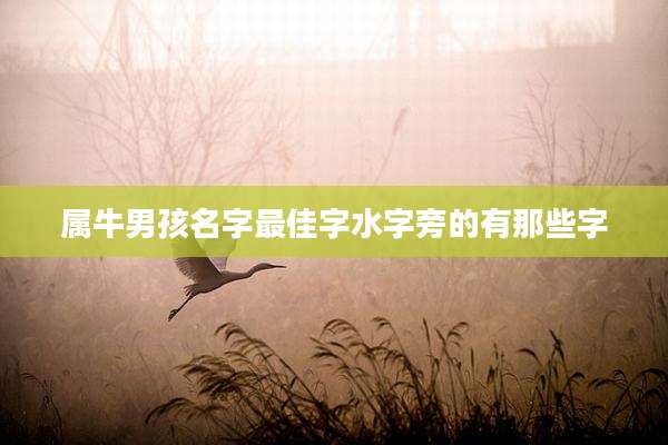 属牛男孩名字最佳字水字旁的有那些字