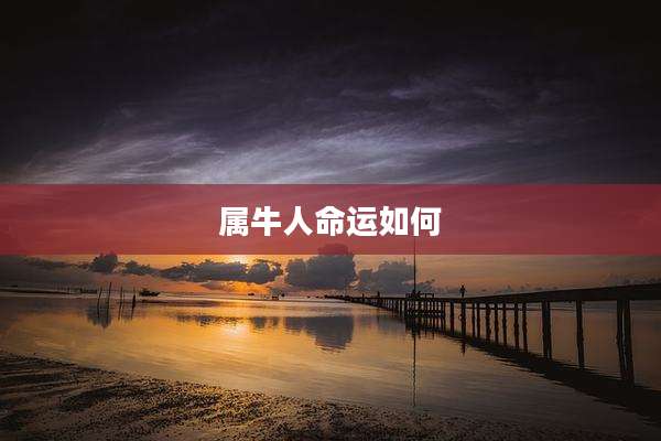 属牛人命运如何