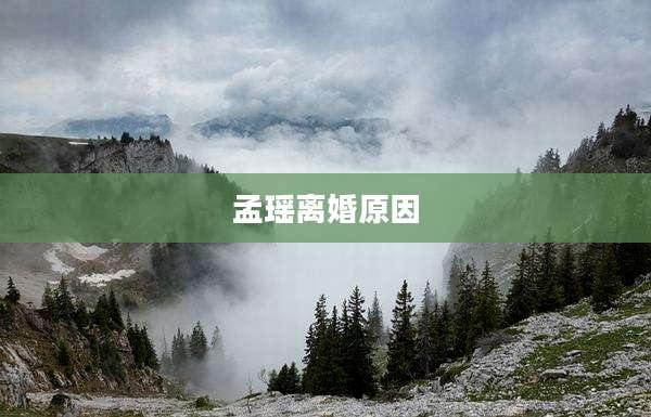 孟瑶离婚原因