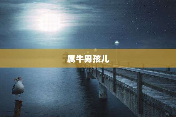 属牛男孩儿