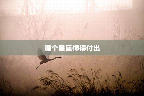 哪个星座懂得付出