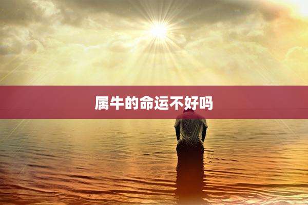 属牛的命运不好吗