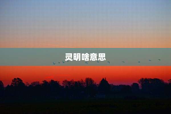 灵明啥意思