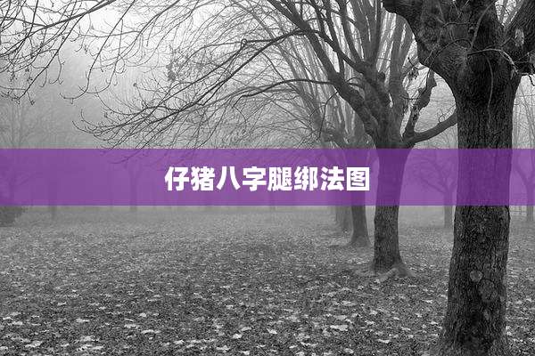 仔猪八字腿绑法图