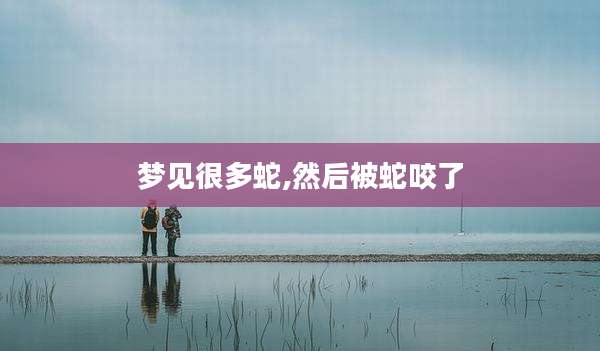 梦见很多蛇,然后被蛇咬了