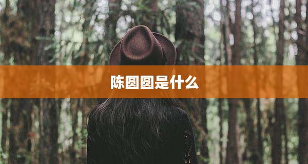 陈圆圆是什么