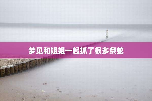 梦见和姐姐一起抓了很多条蛇