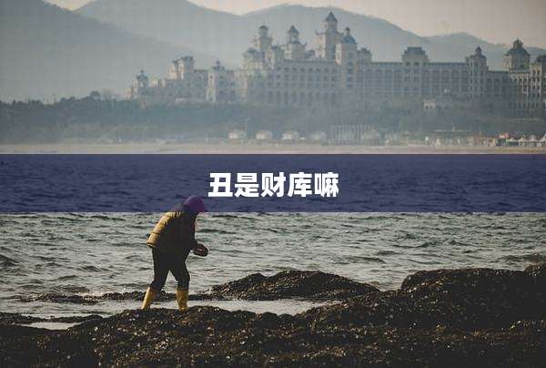 丑是财库嘛