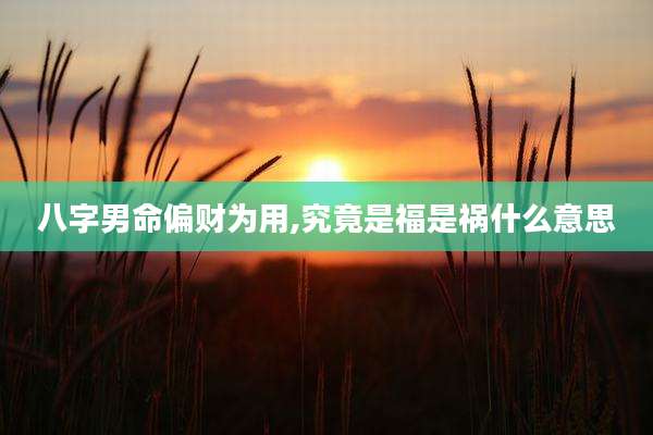 八字男命偏财为用,究竟是福是祸什么意思